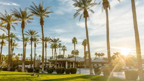 Aed väljaspool majutusasutust Marriott's Desert Springs Villas II Studio Apartment with Resort Access