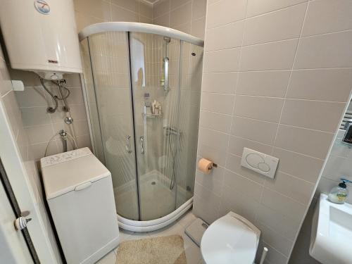 ein kleines Badezimmer mit Dusche und Toilette in der Unterkunft Maslacak Lila Apartment in Zlatibor