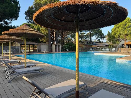 un groupe de chaises et de parasols à côté d'une piscine dans l'établissement Mini Villa T4 duplex dans résidence hôtelière superbement arborée rénovée en 2023 - chez Anne avec piscine chauffée, à Lecci