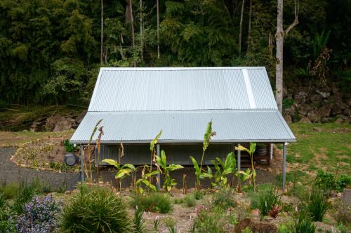Jardín al aire libre en Snows Creek Retreat - The Creek House