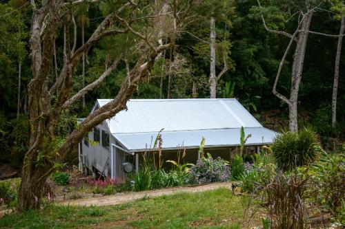 Jardín al aire libre en Snows Creek Retreat - The Creek House
