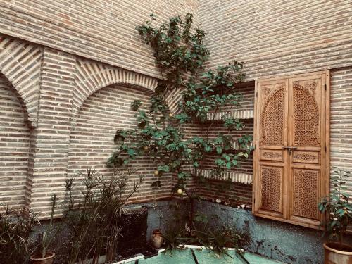 a brick wall with a plant on the side of a building at Riad Dar Hania en Exclusivité in Marrakech