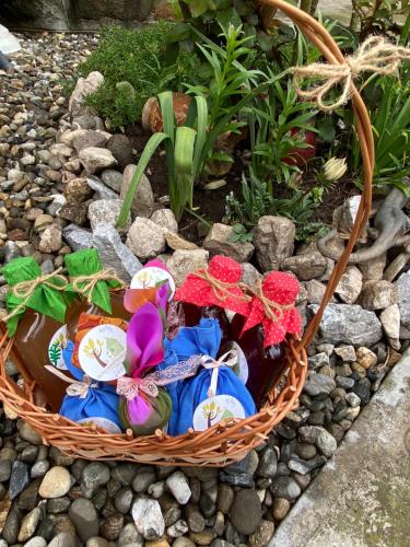 a basket filled with colorful rocks and plants at Bencekerti kulcsosház in Căpîlniţa