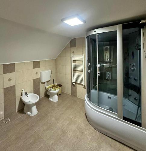 a bathroom with a shower and a toilet and a sink at Vila de vacanta Curtea de Arges in Curtea de Argeş