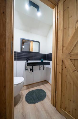 a bathroom with a toilet and a sink at Domek nr 48 w Kaszubskiej Wenecji Na Gwizdówce w Załakowie przy lesie, jeziorze in Załakowo