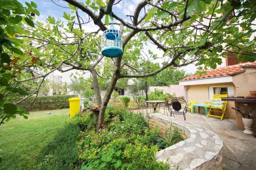 Zahrada ubytování Apartment Vrsi -Mulo 1
