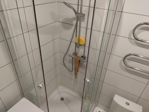 a shower with a glass door next to a toilet at Armas pesa Loo asumis in Loo