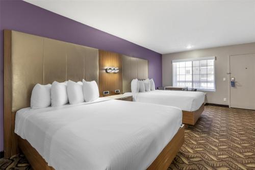 two beds in a hotel room with purple walls at Best Western Airport Plaza Inn Hotel - Los Angeles LAX in Los Angeles