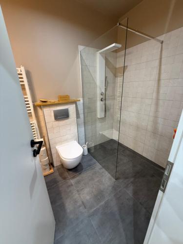 Un baño con inodoro y ducha de cristal. en Andrea Apartman, en Alsóörs