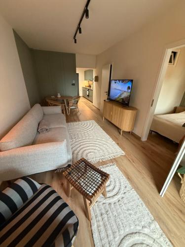 Una sala de estar con un sofá y un televisor. en Andrea Apartman, en Alsóörs