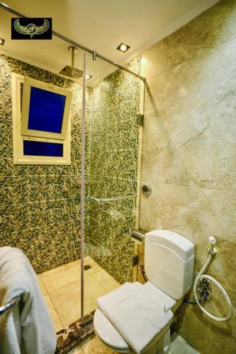 a bathroom with a shower with a toilet and a sink at Comfort in Cairo