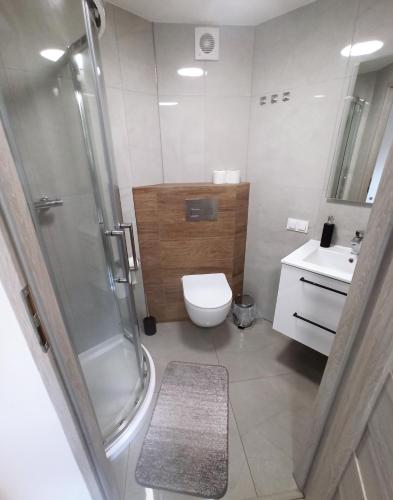 a bathroom with a shower and a toilet and a sink at Sara Resort II in Wisełka