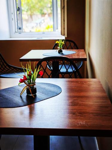 a wooden table with two plants on top of it at Alloggi Tosca Airport Lodges in Ronchi dei Legionari