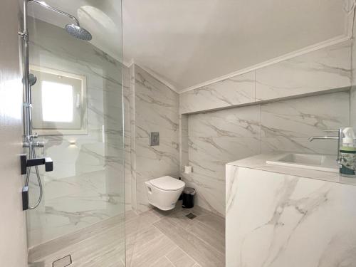 a bathroom with a shower and a toilet and a sink at Villa Maria in Elani