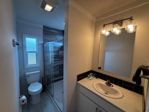a bathroom with a shower and a sink and a toilet at The Retreat at King Cole Farm in Dover