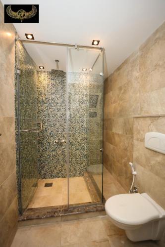 a bathroom with a shower with a toilet and a sink at Comfort in Cairo