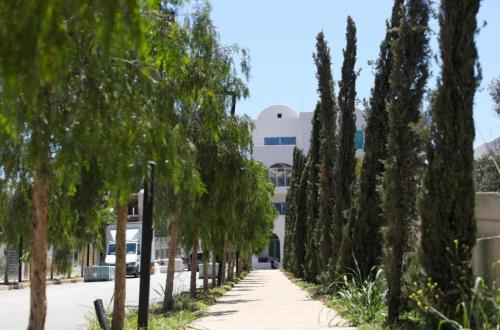 a sidewalk lined with trees in front of a building at Flower Cozy Flat at Santorini Resort in Himare