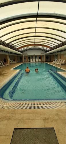 Igazgyöngy apartman