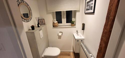 a small bathroom with a toilet and a sink at Gîte Du XVe in Kaysersberg