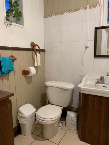 a bathroom with a toilet and a sink at Hospedaje en borde río in Valdivia