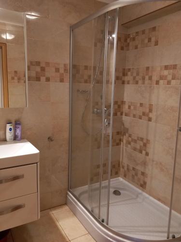 a shower with a glass door in a bathroom at Középső szint in Zamárdi