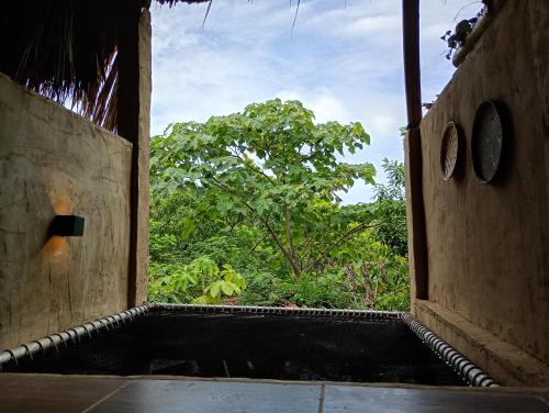 an open doorway of a building with a view of trees at The Valley Tayrona hostel- A social jungle hostel in El Zaino
