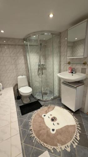 a bathroom with a shower and a toilet and a sink at Arendal Sentrum Ro in Arendal
