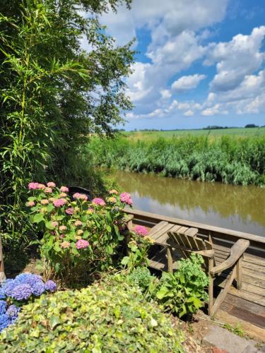 a wooden bench sitting next to a river with flowers at Appartement 1 met uitzicht op de waterkant van Op de Roemte in Baflo