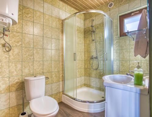 a bathroom with a toilet and a shower and a sink at Domki Eldorado Centrum - Pod kolejką gondolową in Solina
