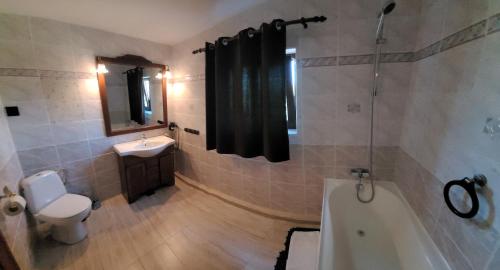 a bathroom with a tub and a toilet and a sink at Vila Caviar in Sulina