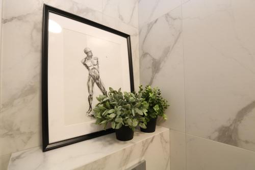 a framed picture on a shelf in a bathroom with a plant at Flat for 2 or 1 with Free Parking and Fast Wi-Fi in Vilnius