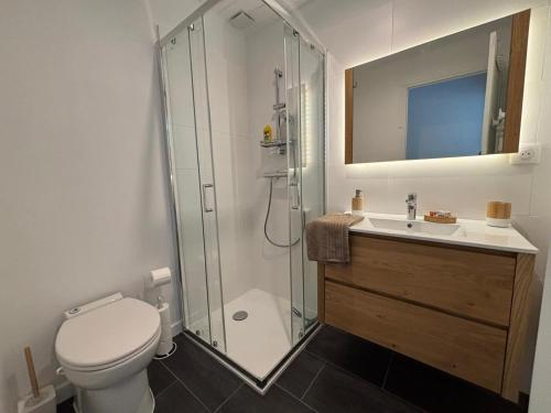 a bathroom with a shower and a toilet and a sink at Villa EtcheOna in Soorts-Hossegor