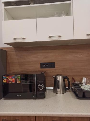 een aanrecht met een broodrooster en een magnetron bij Estrella Apartment Mostar in Mostar