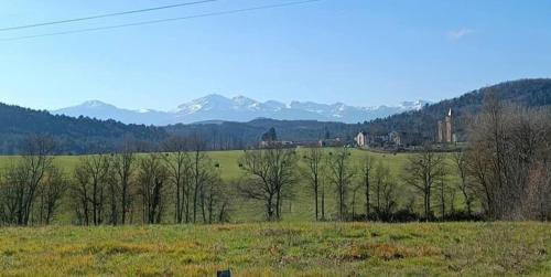 a field with trees and a castle in the distance at Les lits de Montbel B&B in Sonnac-sur-lʼHers