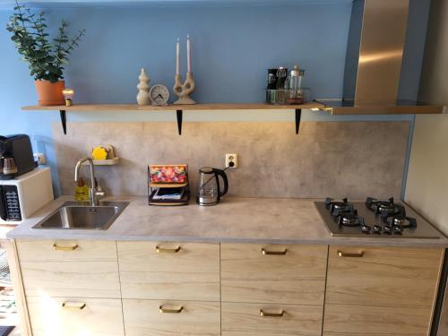 a kitchen with a sink and a stove top oven at Appartement 2 met terras aan de tuin van Op de Roemte in Baflo