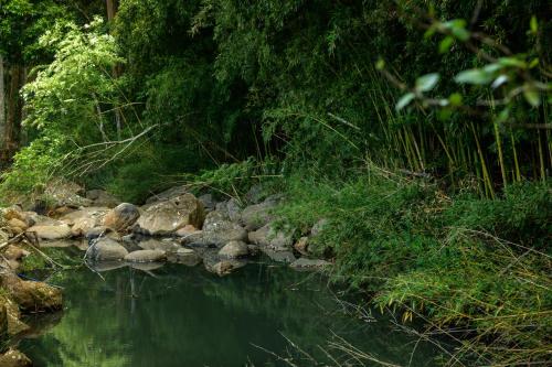 Landskap semula jadi dekat dengan rumah percutian