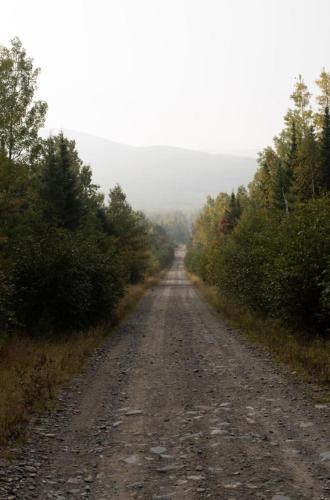 Naturlandskabet i nærheden af hotellet