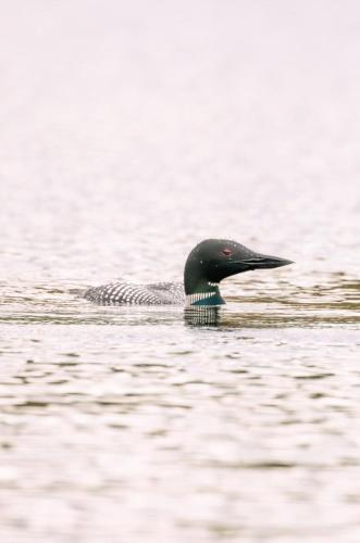 Naturlandskabet i nærheden af hotellet