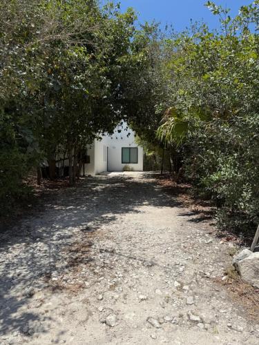 Κήπος έξω από το Casa Nora