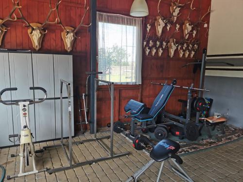 a gym with two exercise bikes and deer heads on the wall at Noclegi Święta Katarzyna ,, Pod Jeleniami "prawdziwymi in Święta Katarzyna