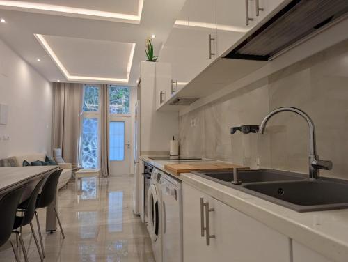 Luxury in Madrid for 10 and Pets
