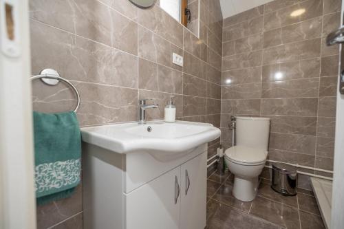 a bathroom with a sink and a toilet at Žabljak- FamilyOasis in Žabljak