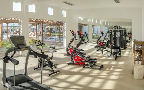 Fitness centrum a/nebo fitness zařízení v ubytování Hotel Viñas Queirolo