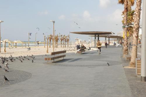 a group of birds on a sidewalk next to a beach at Jaffa Getaway sea front, luxury Duplex, Port & Old City 2m walk in Tel Aviv