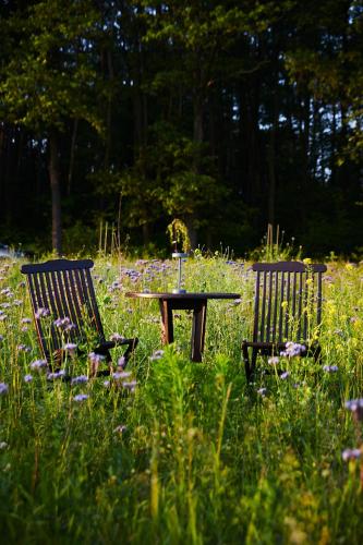 Κήπος έξω από το bosco glamping