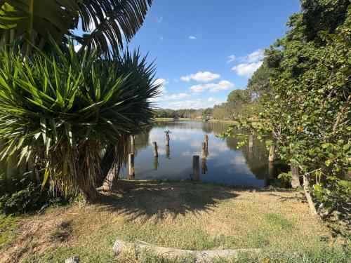 a body of water with a palm tree next to it at Chalé em camping in Itu