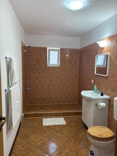 a bathroom with a shower and a toilet and a sink at Casa Armonia Costinesti in Schitul