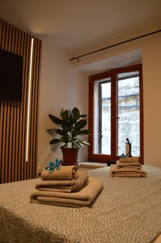 Apartment Antonio