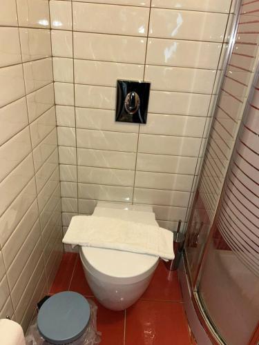 a small bathroom with a toilet and a shower at Amaya Pine Central in Pondiás
