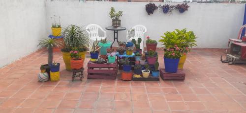 a bunch of potted plants sitting on a patio at Rooftop Paradise Central Location, Scenic Views in Mexico City